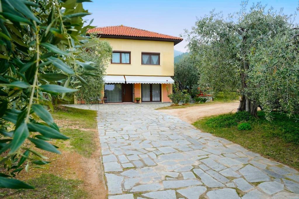 Olive'S House Villa Skala Rachoni  Exteriör bild
